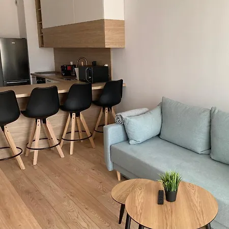 Apartament Rakowicka Modern