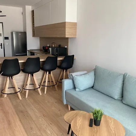 Rakowicka Modern Apartment *